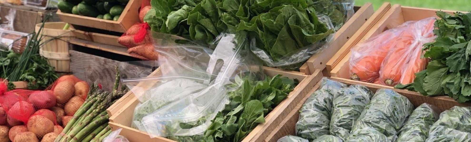 Building Strong Community - Farmer Dave's