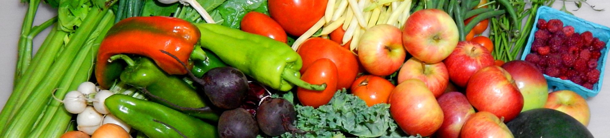 page banner image