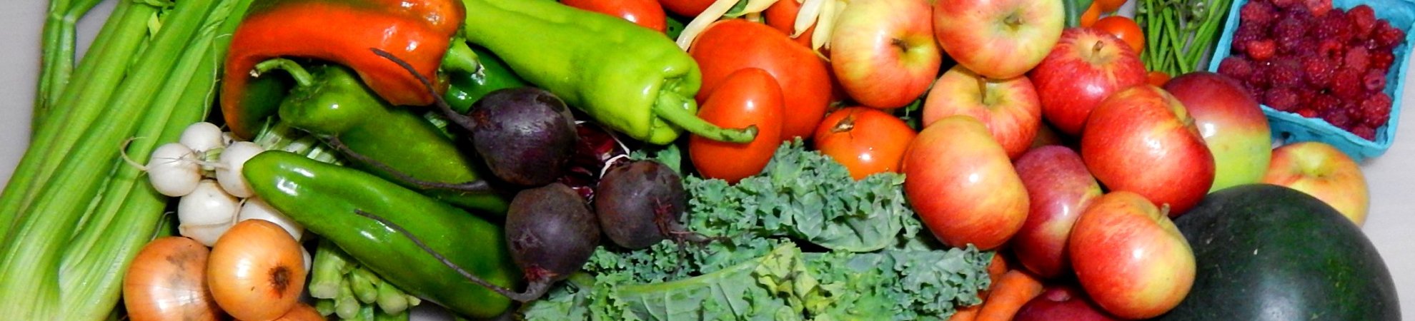 page banner image